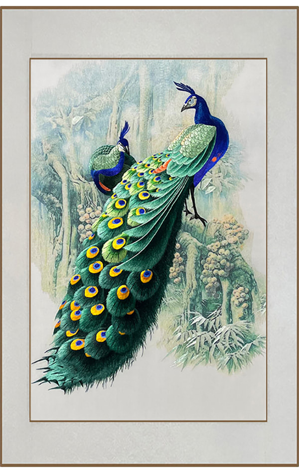 Peacock QW4060051